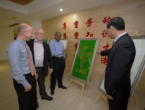 强强联手，构建多元化产学研合作，推动科技产业双丰收